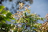 ( - AVM12)  @11 [ ] CreativeCommons - Attribution Non-Commercial Share-Alike (2019) Rafael F. del Castillo Instituto Politécnico Nacional