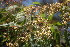 ( - AVM12)  @11 [ ] CreativeCommons - Attribution Non-Commercial Share-Alike (2019) Rafael F. del Castillo Instituto Politécnico Nacional