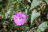  ( - AVM15)  @11 [ ] CreativeCommons - Attribution Non-Commercial Share-Alike (2019) Rafael F. del Castillo Instituto Politécnico Nacional