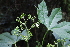  ( - AVM54)  @11 [ ] CreativeCommons - Attribution Non-Commercial Share-Alike (2019) Rafael F. del Castillo Instituto Politécnico Nacional