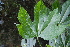  ( - AVM54)  @11 [ ] CreativeCommons - Attribution Non-Commercial Share-Alike (2019) Rafael F. del Castillo Instituto Politécnico Nacional