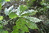  ( - AVM54)  @11 [ ] CreativeCommons - Attribution Non-Commercial Share-Alike (2019) Rafael F. del Castillo Instituto Politécnico Nacional
