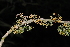  ( - AVM67)  @11 [ ] CreativeCommons - Attribution Non-Commercial Share-Alike (2019) Rafael F. del Castillo Instituto Politécnico Nacional