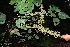  ( - AVM67)  @11 [ ] CreativeCommons - Attribution Non-Commercial Share-Alike (2019) Rafael F. del Castillo Instituto Politécnico Nacional