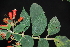  ( - AVM71)  @11 [ ] CreativeCommons - Attribution Non-Commercial Share-Alike (2019) Rafael F. del Castillo Instituto Politécnico Nacional