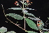  ( - AVM71)  @11 [ ] CreativeCommons - Attribution Non-Commercial Share-Alike (2019) Rafael F. del Castillo Instituto Politécnico Nacional