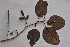  ( - AVM2)  @11 [ ] CreativeCommons - Attribution Non-Commercial Share-Alike (2019) Rafael F. del Castillo Instituto Politécnico Nacional