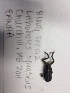  ( - BIOUG-EAC012)  @12 [ ] Unspecified (default): All Rights Reserved  Unspecified Unspecified
