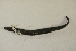  ( - MCZ Herp A-109192)  @11 [ ] Unspecified (default): All Rights Reserved  Unspecified Unspecified