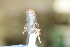  ( - MCZ Herp A-109192)  @11 [ ] Unspecified (default): All Rights Reserved  Unspecified Unspecified