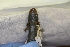  ( - MCZ Herp A-109192)  @11 [ ] Unspecified (default): All Rights Reserved  Unspecified Unspecified