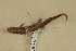  ( - USNM 299739)  @11 [ ] CreativeCommons - Attribution (2013) Unspecified Centre for Biodiversity Genomics