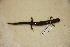  (Plethodon elongatus - USNM 555356)  @11 [ ] CreativeCommons - Attribution (2013) Unspecified Centre for Biodiversity Genomics