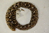  ( - MCZ Herp R-183554)  @11 [ ] CreativeCommons - Attribution (2013) Unspecified Centre for Biodiversity Genomics