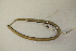  ( - MCZ Herp R-181801)  @11 [ ] CreativeCommons - Attribution (2013) Unspecified Centre for Biodiversity Genomics