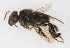  ( - EAPZ E2172-2)  @14 [ ] CreativeCommons - Attribution Share-Alike (2017) Unspecified Universidad Zamorano