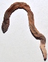  ( - E7VDH97)  @12 [ ] Copyright (2014) PHCDBS Paul Hebert Center for DNA Barcoding and Biodiversity Studies