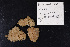  ( - Pa2012007350)  @11 [ ] Copyright (2017) DFO Bedford Institute of Oceanography