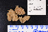  ( - Pa2012007350)  @11 [ ] Copyright (2017) DFO Bedford Institute of Oceanography