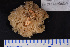  ( - Pa2014007120)  @11 [ ] Copyright (2017) DFO Bedford Institute of Oceanography