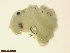  ( - BIOUG01715-A07)  @12 [ ] CreativeCommons - Attribution (2014) CBG Photography Group Centre for Biodiversity Genomics