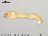  ( - EBAI-Ch113)  @12 [ ] CreativeCommons - Attribution Non-Commercial Share-Alike (2016) NTNU University Museum, Department of Natural History NTNU University Museum, Department of Natural History