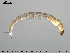  ( - EBAI-Ch116)  @12 [ ] CreativeCommons - Attribution Non-Commercial Share-Alike (2016) NTNU University Museum, Department of Natural History NTNU University Museum, Department of Natural History