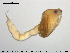  ( - EBAI-Ch122)  @11 [ ] CreativeCommons - Attribution Non-Commercial Share-Alike (2016) NTNU University Museum, Department of Natural History NTNU University Museum, Department of Natural History