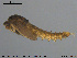  ( - EBAI-Ch132)  @12 [ ] CreativeCommons - Attribution Non-Commercial Share-Alike (2016) NTNU University Museum, Department of Natural History NTNU University Museum, Department of Natural History