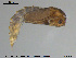  ( - EBAI-Ch139)  @12 [ ] CreativeCommons - Attribution Non-Commercial Share-Alike (2016) NTNU University Museum, Department of Natural History NTNU University Museum, Department of Natural History