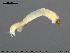  ( - EBAI-Ch015)  @11 [ ] CreativeCommons - Attribution Non-Commercial Share-Alike (2016) NTNU University Museum, Department of Natural History NTNU University Museum, Department of Natural History