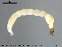  ( - EBAI-Ch016)  @11 [ ] CreativeCommons - Attribution Non-Commercial Share-Alike (2016) NTNU University Museum, Department of Natural History NTNU University Museum, Department of Natural History