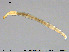  ( - EBAI-Ch238)  @11 [ ] Creative Commons  Attribution Non-Commercial Share-Alike (2016) NTNU University Museum, Department of Natural History NTNU University Museum, Department of Natural History