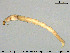  ( - EBAI-Ch240)  @11 [ ] Creative Commons  Attribution Non-Commercial Share-Alike (2016) NTNU University Museum, Department of Natural History NTNU University Museum, Department of Natural History
