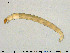  ( - EBAI-Ch241)  @11 [ ] Creative Commons  Attribution Non-Commercial Share-Alike (2016) NTNU University Museum, Department of Natural History NTNU University Museum, Department of Natural History