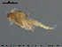  ( - EBAI-Ch025)  @11 [ ] CreativeCommons - Attribution Non-Commercial Share-Alike (2016) NTNU University Museum, Department of Natural History NTNU University Museum, Department of Natural History