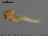  ( - EBAI-Ch026)  @11 [ ] CreativeCommons - Attribution Non-Commercial Share-Alike (2016) NTNU University Museum, Department of Natural History NTNU University Museum, Department of Natural History