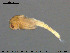  ( - EBAI-Ch027)  @11 [ ] CreativeCommons - Attribution Non-Commercial Share-Alike (2016) NTNU University Museum, Department of Natural History NTNU University Museum, Department of Natural History