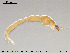  ( - EBAI-Ch035)  @12 [ ] CreativeCommons - Attribution Non-Commercial Share-Alike (2016) NTNU University Museum, Department of Natural History NTNU University Museum, Department of Natural History