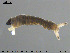  ( - EBAI-Ch041)  @12 [ ] CreativeCommons - Attribution Non-Commercial Share-Alike (2016) NTNU University Museum, Department of Natural History NTNU University Museum, Department of Natural History