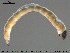  ( - EBAI-Ch059)  @12 [ ] CreativeCommons - Attribution Non-Commercial Share-Alike (2016) NTNU University Museum, Department of Natural History NTNU University Museum, Department of Natural History