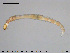 ( - EBAI-Ch078)  @11 [ ] CreativeCommons - Attribution Non-Commercial Share-Alike (2016) NTNU University Museum, Department of Natural History NTNU University Museum, Department of Natural History