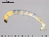  ( - EBAI-Ch086)  @12 [ ] CreativeCommons - Attribution Non-Commercial Share-Alike (2016) NTNU University Museum, Department of Natural History NTNU University Museum, Department of Natural History