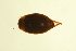 ( - BIOUG01004-A01)  @12 [ ] CreativeCommons - Attribution (2010) CBG Photography Group Centre for Biodiversity Genomics