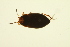  ( - BIOUG01005-C12)  @12 [ ] CreativeCommons - Attribution (2010) CBG Photography Group Centre for Biodiversity Genomics