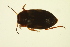  ( - BIOUG01005-D03)  @13 [ ] CreativeCommons - Attribution (2010) CBG Photography Group Centre for Biodiversity Genomics