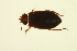  ( - BIOUG01005-D04)  @12 [ ] CreativeCommons - Attribution (2010) CBG Photography Group Centre for Biodiversity Genomics