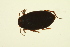  ( - BIOUG01005-D08)  @13 [ ] CreativeCommons - Attribution (2010) CBG Photography Group Centre for Biodiversity Genomics