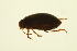  ( - BIOUG01005-E02)  @12 [ ] CreativeCommons - Attribution (2010) CBG Photography Group Centre for Biodiversity Genomics