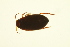 ( - BIOUG01005-G03)  @12 [ ] CreativeCommons - Attribution (2010) CBG Photography Group Centre for Biodiversity Genomics